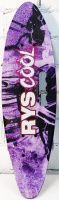 Скейтборд (пенни борд) - RYS Cool, со светящимися колёсами и ручкой, 885/9mi