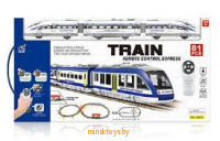 Железная дорога - Скорый поезд, 81 элемент, радиоуправление, свет, звук, 2807Y-2